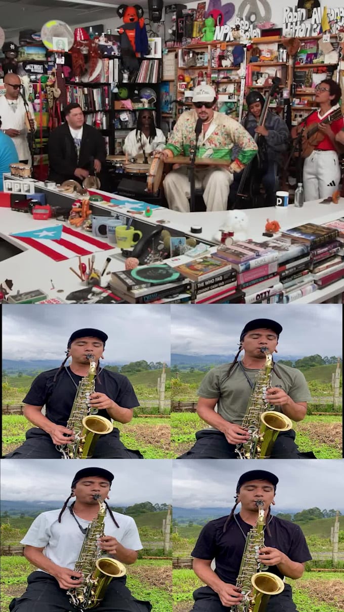 record a alto saxophone for you