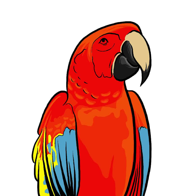 draw cartoon sticker style pet portrait on procreate