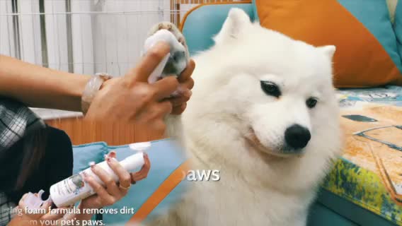 shoot professional product videos in china for amazon, shopify social media
