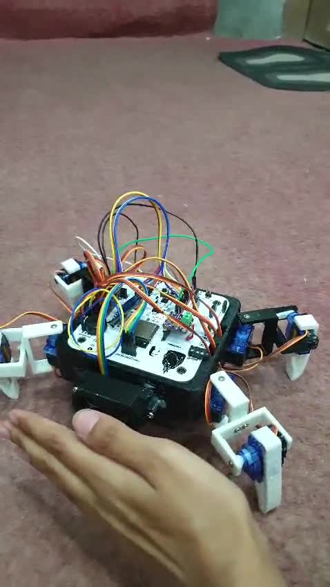 do mechatronics and robotics projects for you