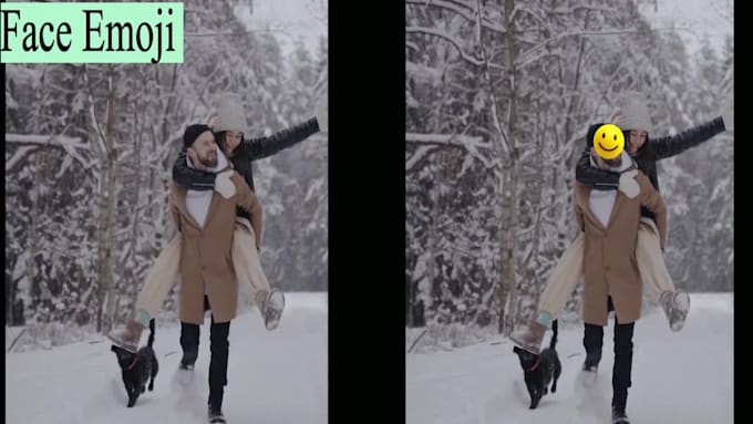blur faces, unwanted objects or anything from video