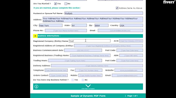 create professional fillable PDF form and PDF fillable form