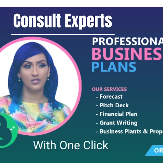 write investor ready business plan,grant proposal,pitch deck