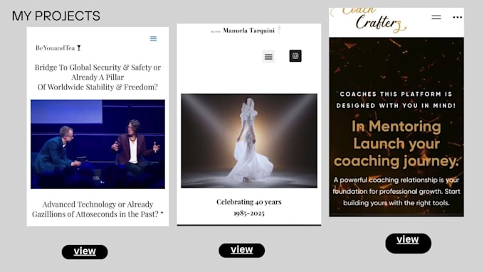 create aprofessional wordpress website with free preview