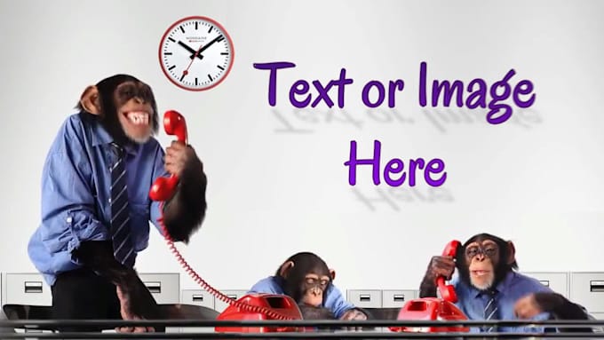 create a short funny monkey video promo or ad