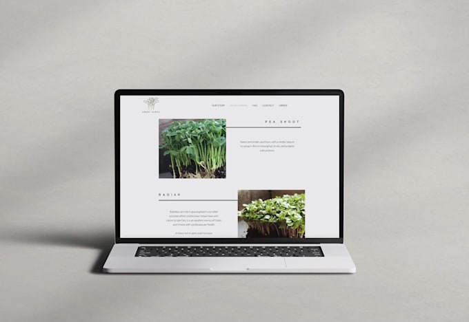 create custom branding and website design
