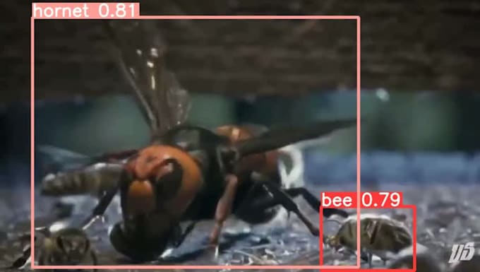 train yolo and cnn model for object detection  and instance segmentation