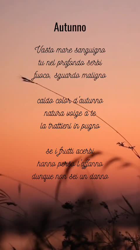 write poems, stories or essays