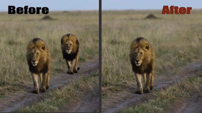 remove any unwanted object from videos