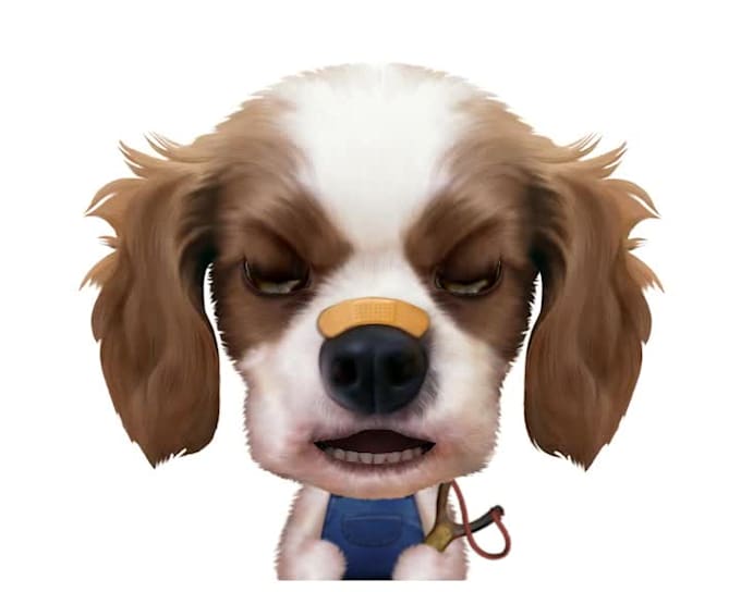 be Bobby, the dog, your Animal Spokesperson