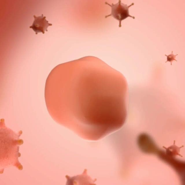 Create perfect loop 3d animation by Anuragprasanna | Fiverr