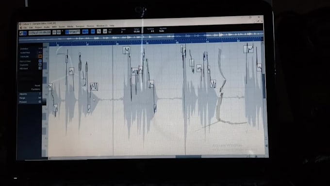 tune pitch correct and time align your vocals