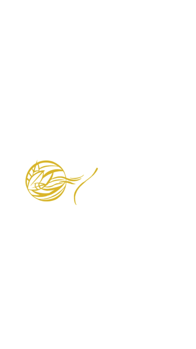 do a creative 2d logo animation