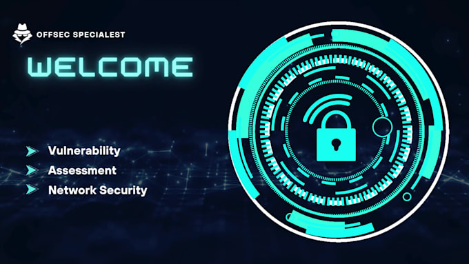 perform web application penetration testing