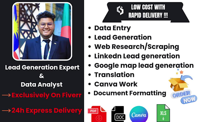 do data entry, b2b lead generation, translation , canva work