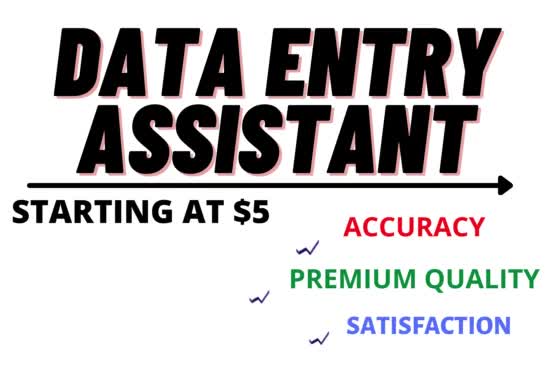 do data entry in excel accurately and also web search