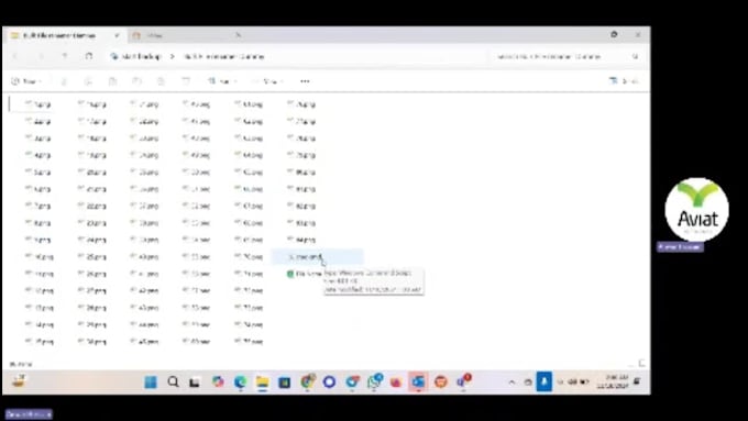 rename your 1000 with customized name file by script within click