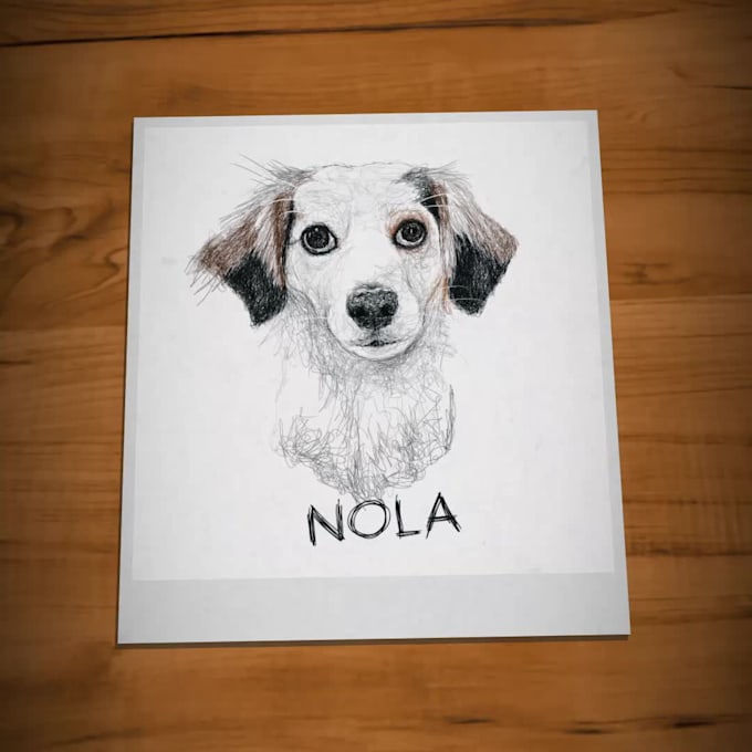 draw digital scribble pet portrait