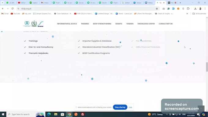 do web development for your business
