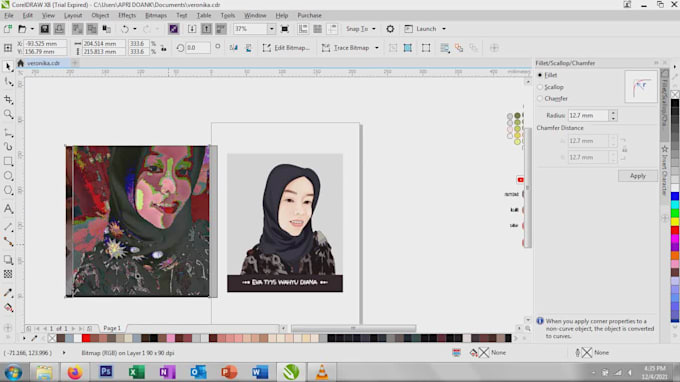 draw illustrations from your photograph