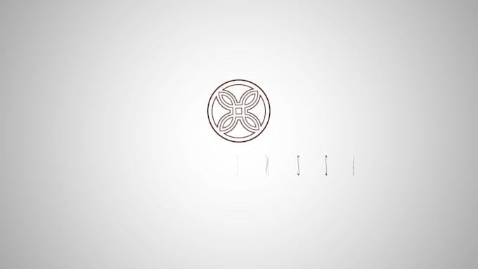 make a professional customized logo animation