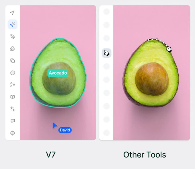 perform image annotation and data labelling for ai