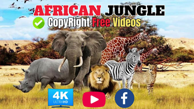 create wildlife  animals copyright free videos for youtube