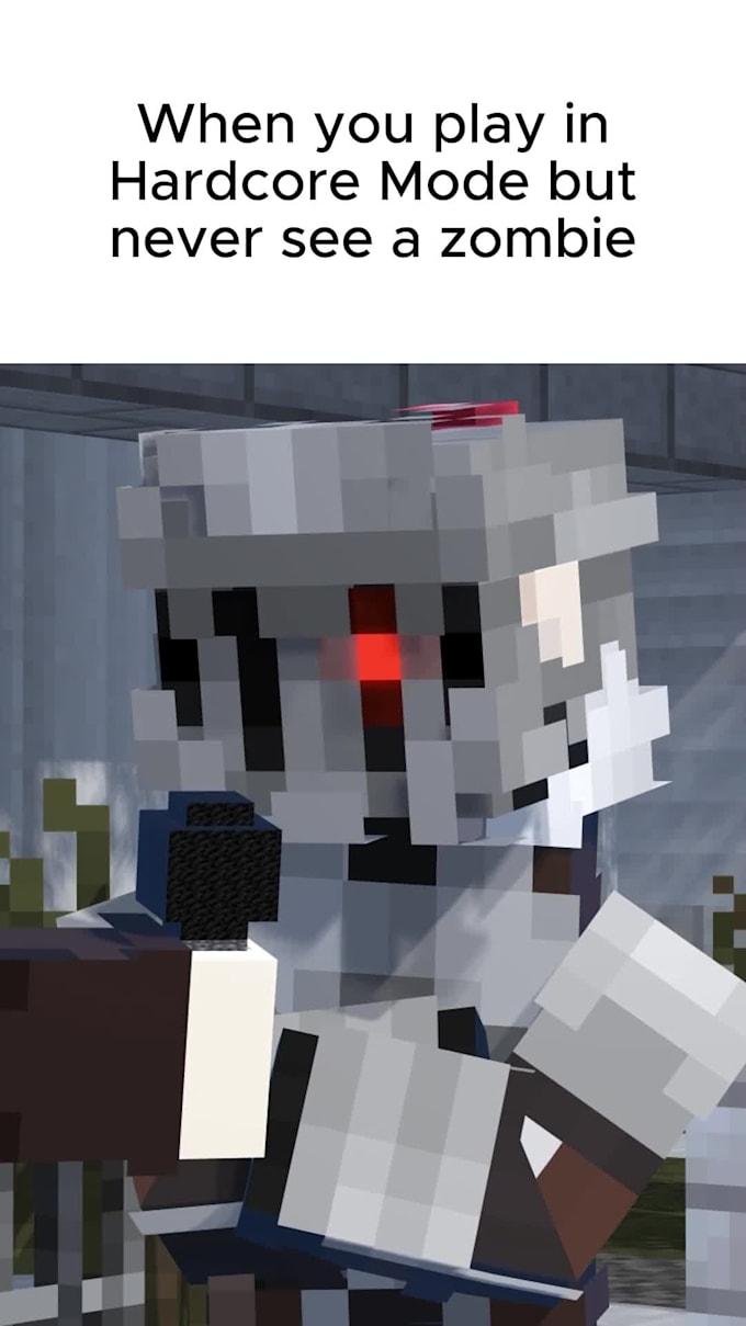 make you a minecraft animation for your content