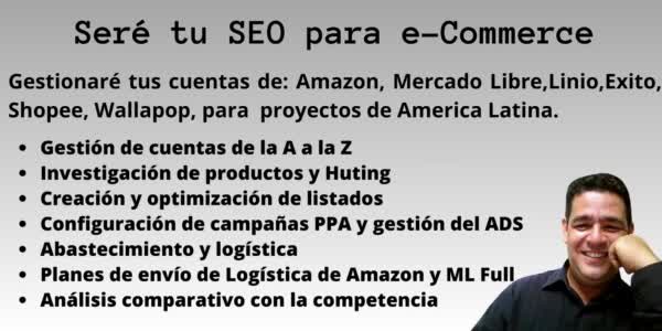 be your seo for ecommerce