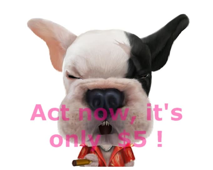 be Bruce, the dog, your Animal Spokesperson