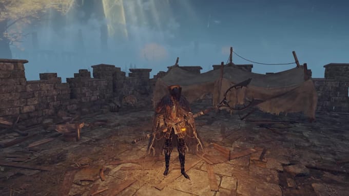 create and mod your model into elden ring