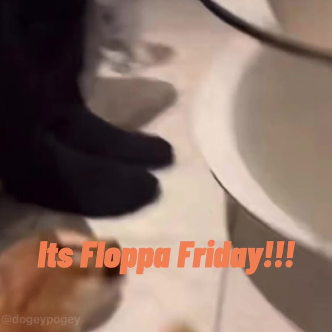 Floppa Gaming on Make a GIF