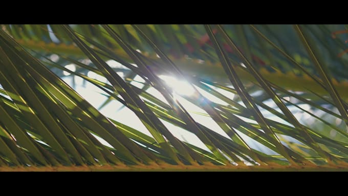 film your wedding and create a documentary style edit