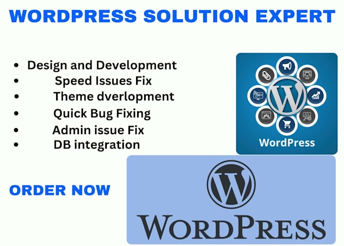 do wordpress issue and solutions for ecommerce website