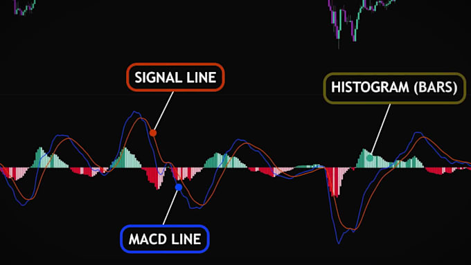 create an expert level forex and crypto trading course