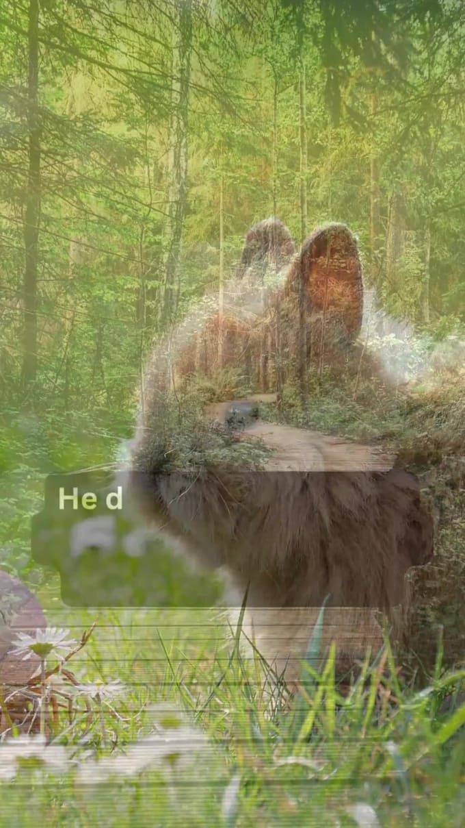 Edit and add captions to your fb and ig reels tiktok and youtube shorts