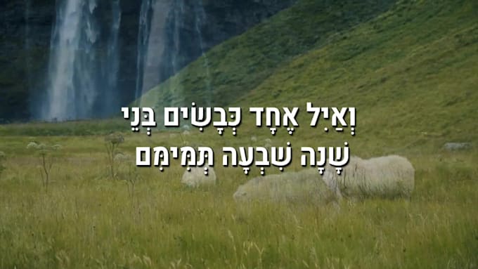 create an animated lyric video in hebrew