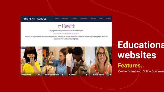develop a skilled topnoch website for you