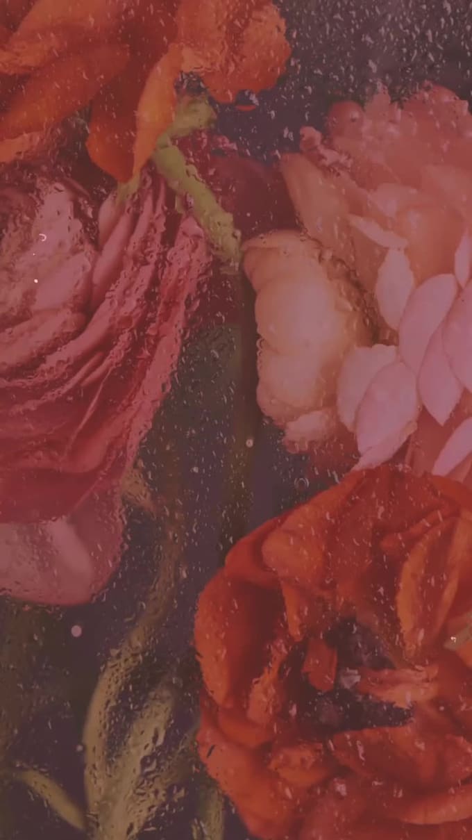 create viral reel hooks and content ideas that stop the scroll