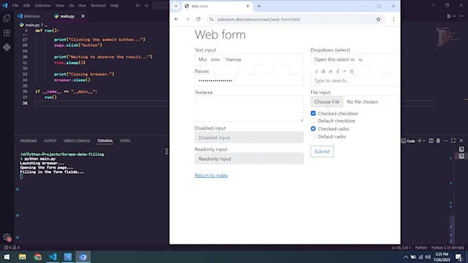 do python automation, web automation and API development