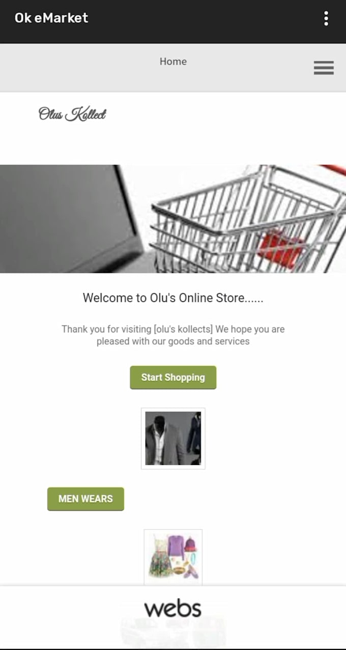 build ecommerce website for business owner