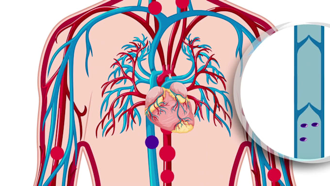 create medical or healthcare 2d animated explainer video