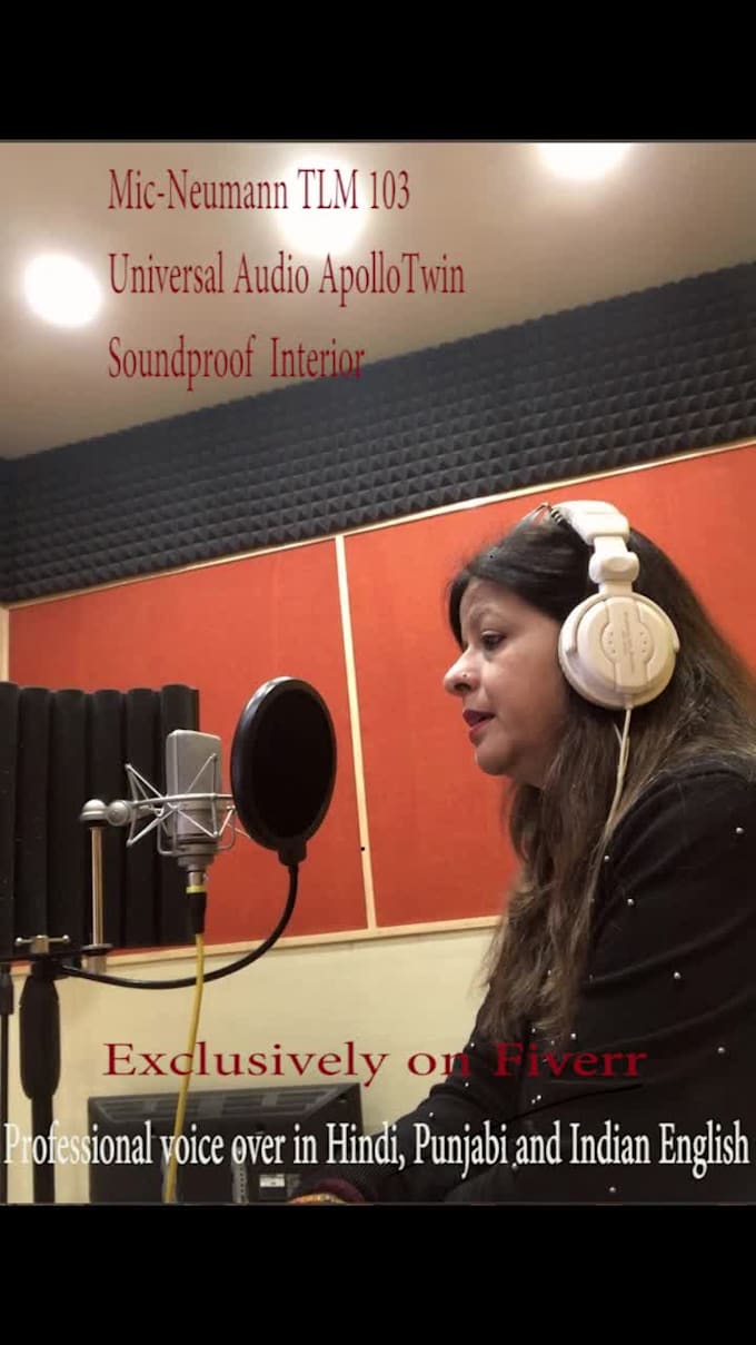 do professional voice over in india english,hindi punjabi