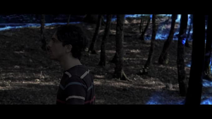 do full cinematic video editing and post production