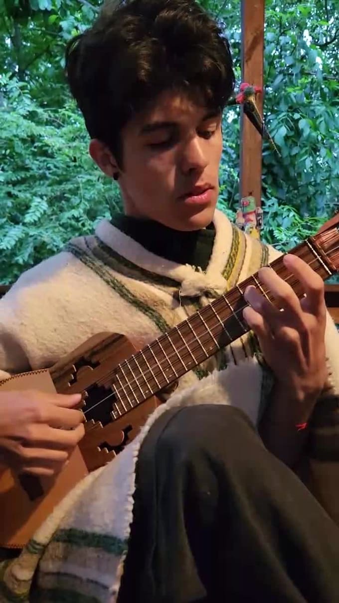 play and record charango or ronroco for you