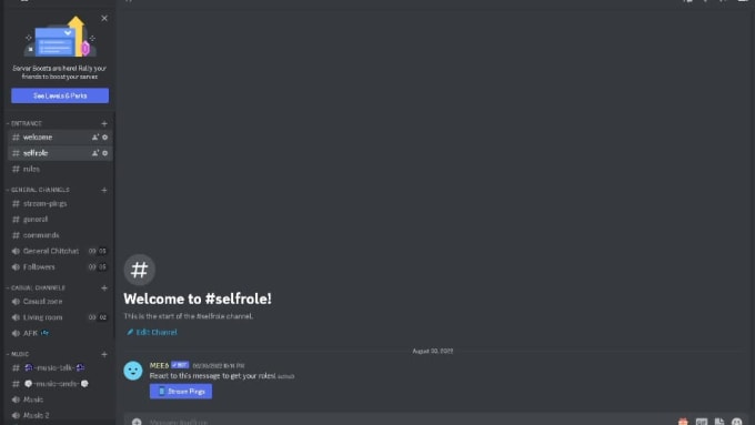 Create discord servers, edit videos and create visual effects by Ceiryt ...