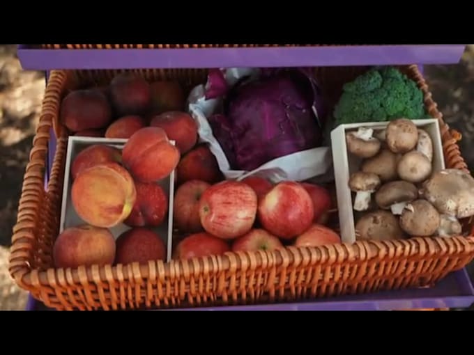 record a german female voice over in a warm, charming voice