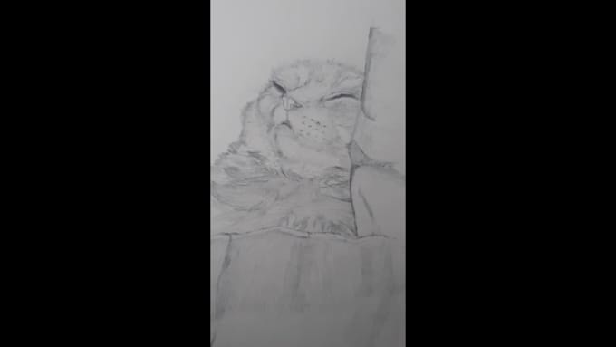 sketch your pet or any animal