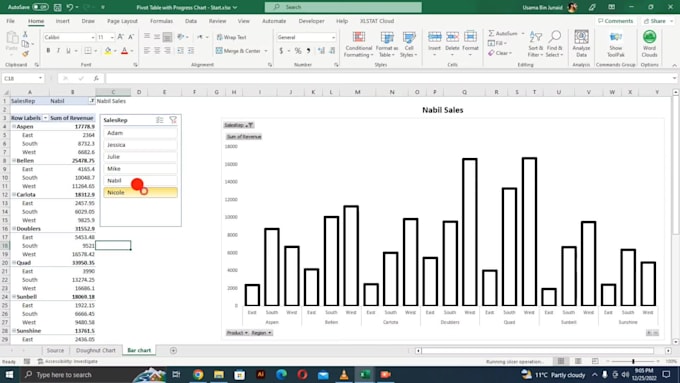 do data preprocessing and data analysis using python