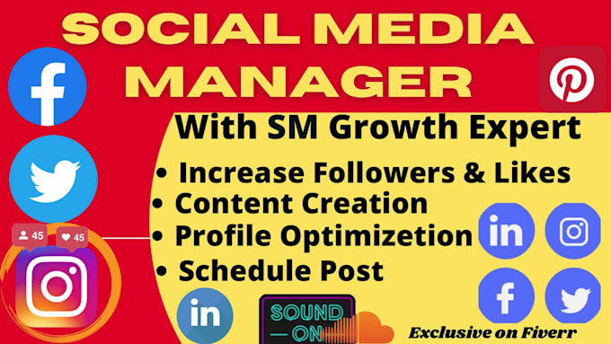 be your social media manager